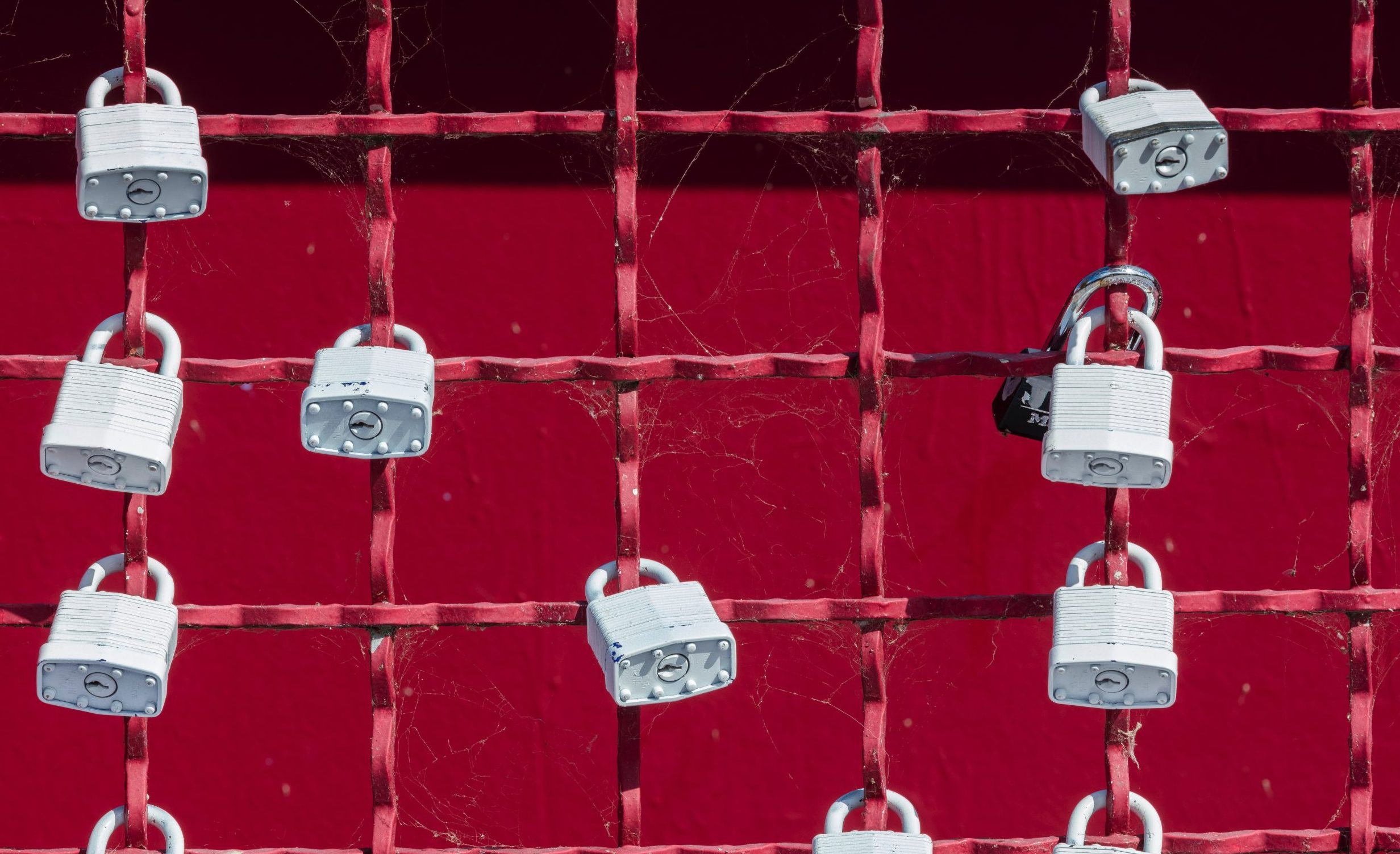 Site Security: How to Keep Your WordPress Site Safe